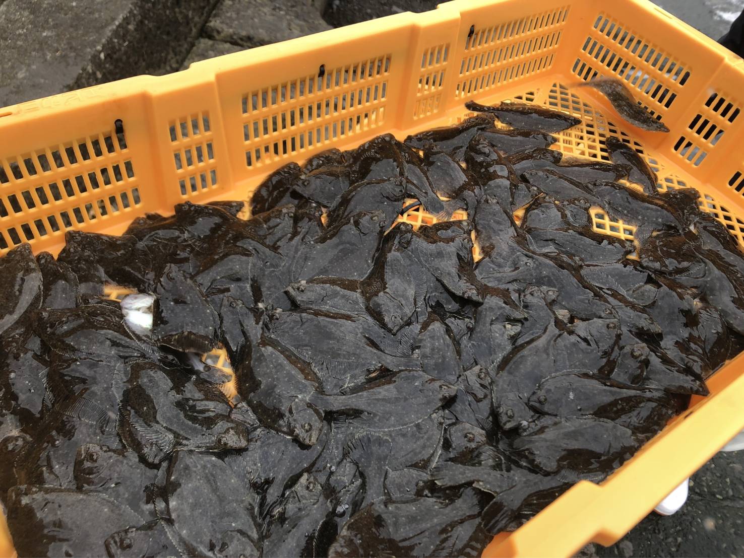 line_oa_chat_220130_132600