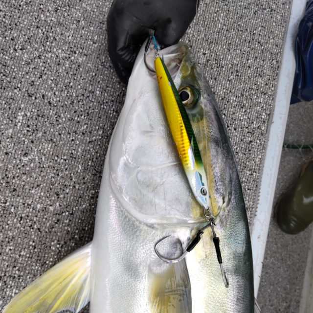 o1080108015057409343