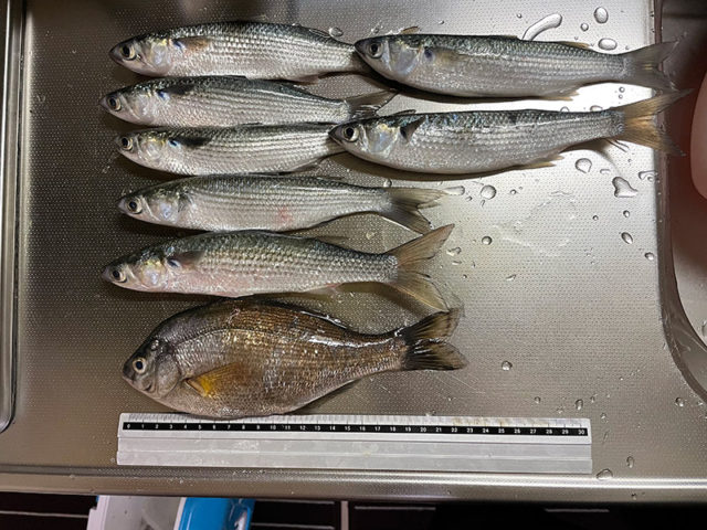 2月26日-そこに愛はあるんか様1