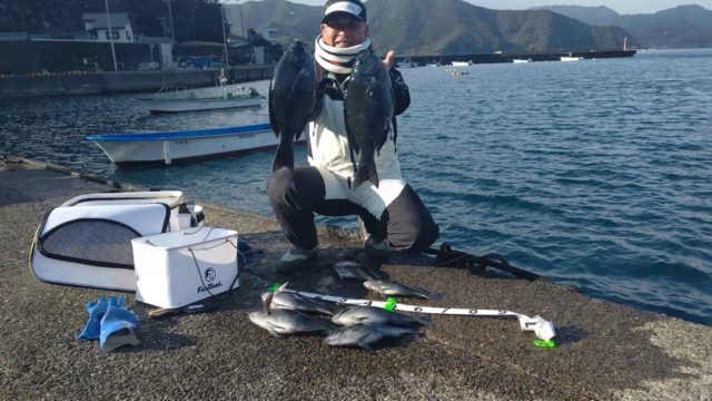 2月17日手持ち横