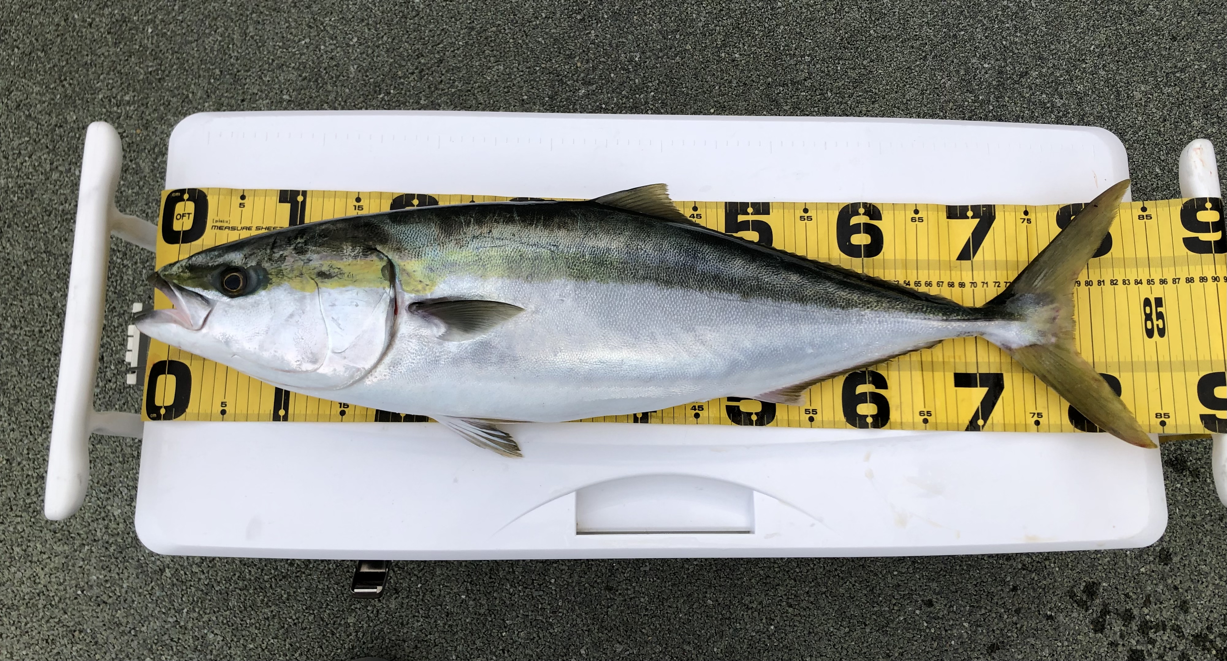 67F5C464-3F07-4357-82DD-5655FDF1E928