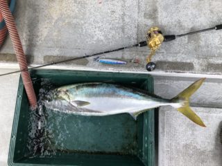 6D32E99B-871C-41CA-8F57-E54F8180672C