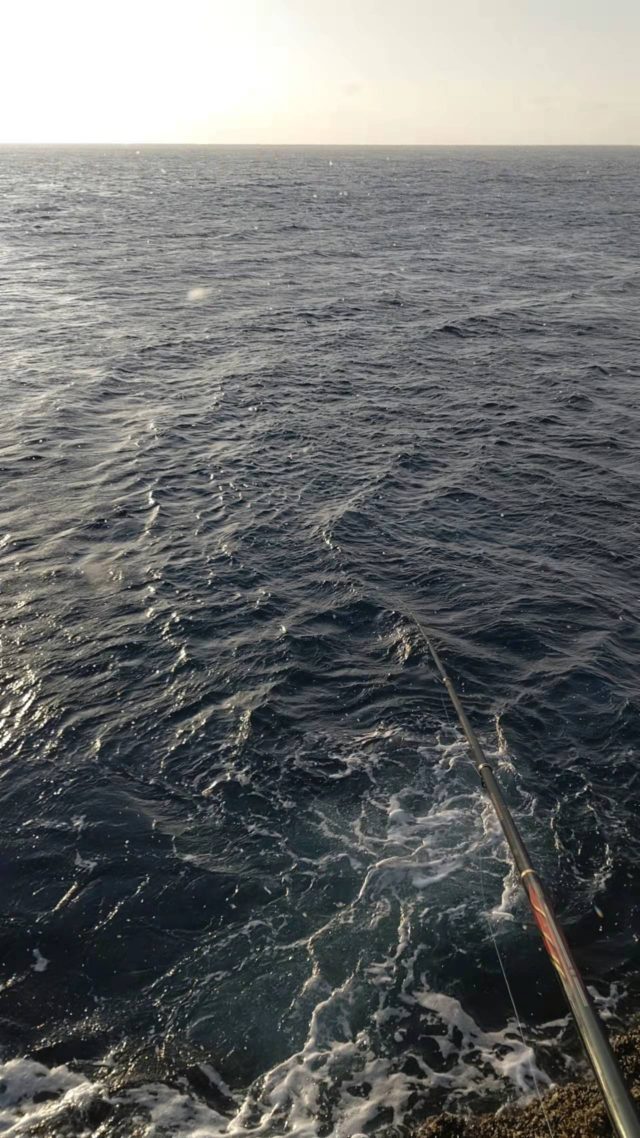 2月17日ポイント前