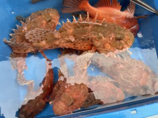 89B16993-820E-4D7C-9F4C-3059D4B6646C