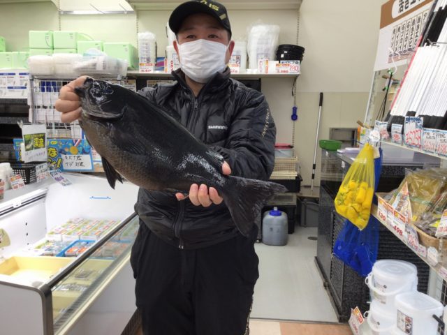 910236D9-226A-4880-AF9A-3B98D0DCDC99