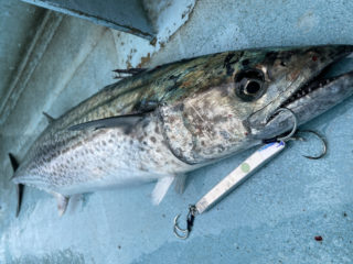 D2C11964-5554-42DF-B018-969C8164F3FC