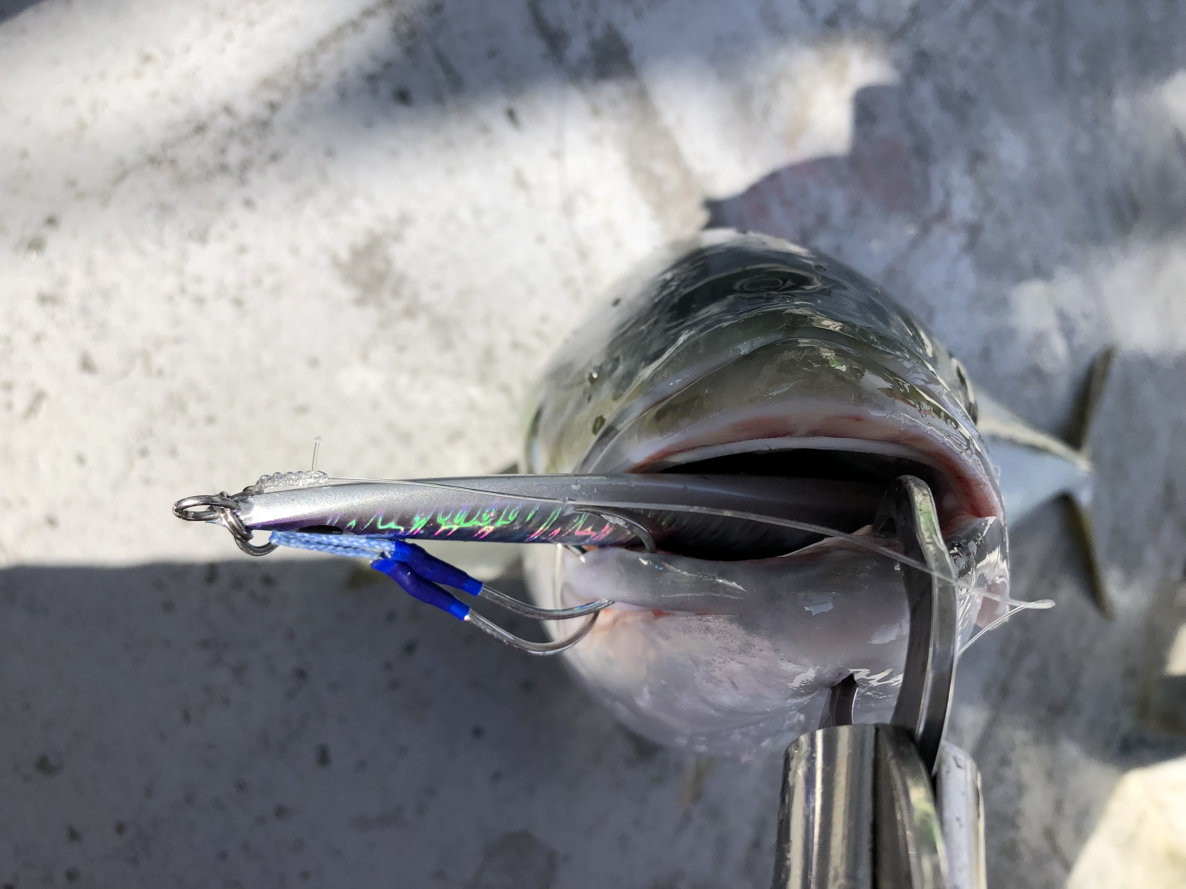 DBD80A8B-7FB6-42B8-9891-A1A959AF505F