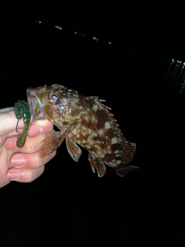 F2177B3F-CEE7-4654-8477-601814911B82