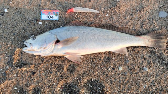 IBYVwr4n1BCchQ2fbJeSeIMXBe5uDS579B3B00VY0-qcktxusop04vxFKflWXp-D53un8hKhxDuPrqVQn4gZL2npeJIUuyXQtt0JMGoS4n8O7dGJIhOVxj7Gukp9o7DL