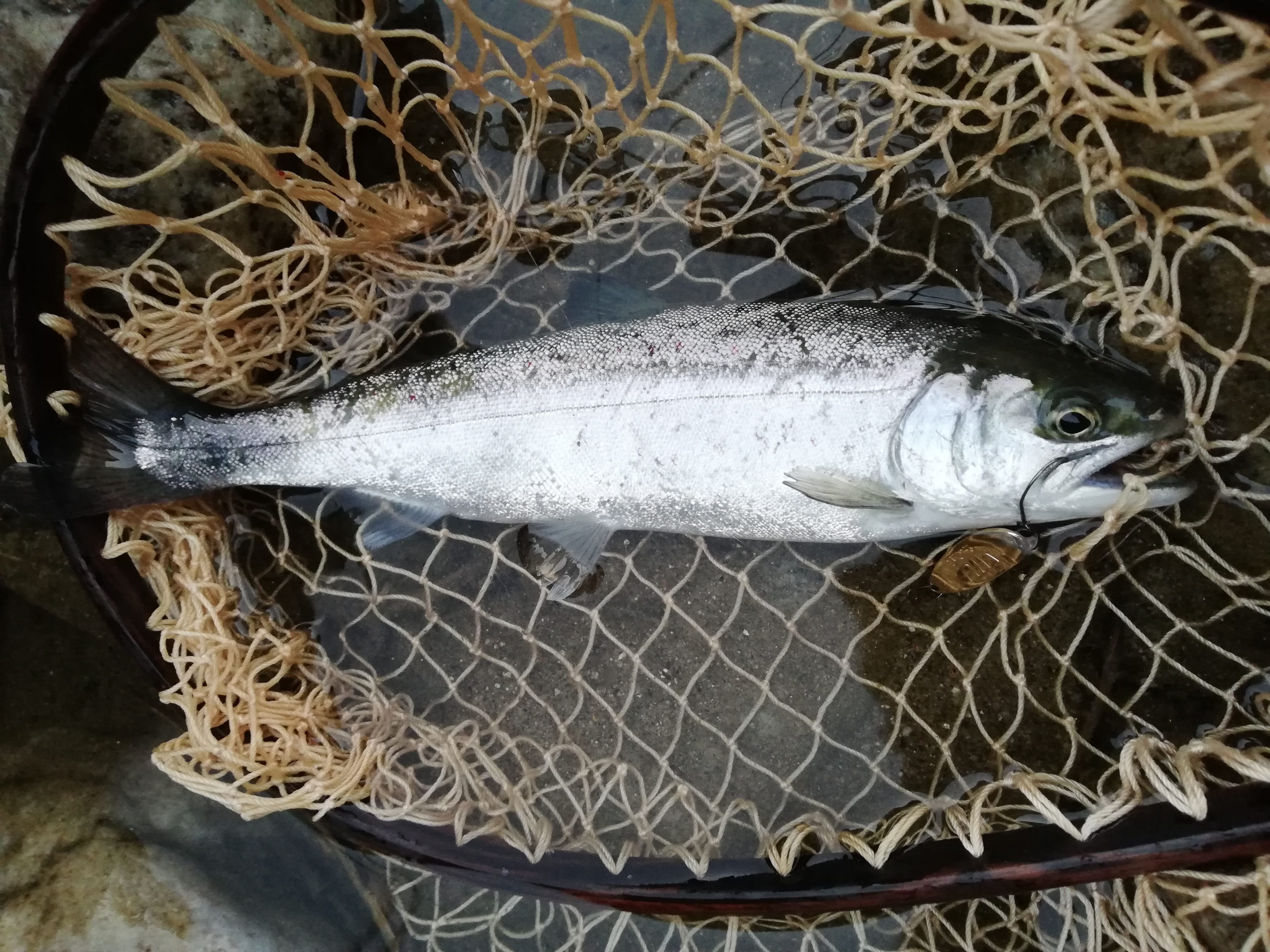 IMG_20210207_063827-e1612745861767