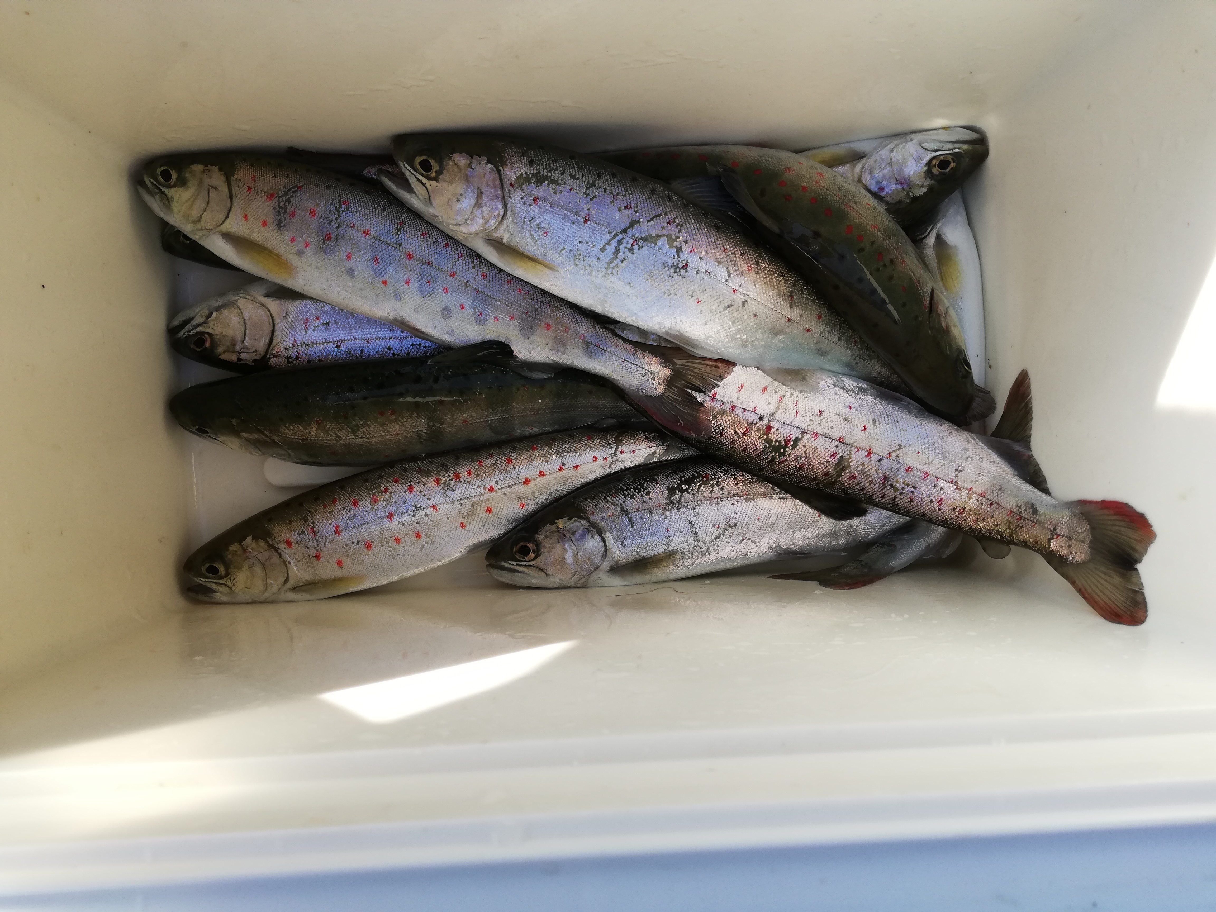 IMG_20210207_092825-e1612745708153