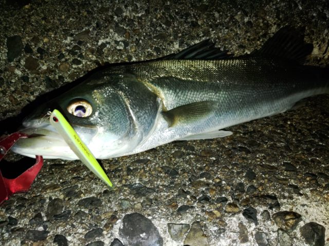 KIMG3592~2_copy_2832x2124