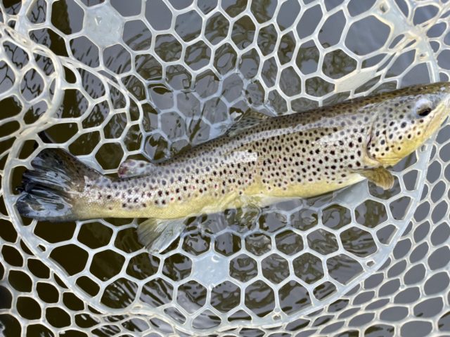 RP7DEjC0-mNHrQ0h4s_SYO-sJtLwOhp8-ipF--s5ecZT2C-2jM2mobVxLDm6rPsCjgcMljpPftJjzf_gi0hTvxXJA2ST8hZyVx1oUNP1FCGqKsoCj5qZhXWTaD4mzZoW