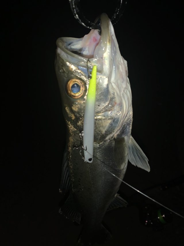 VAr1XMHPwaE0x9WLFQHVlC1FKk83TVkzOk_zyV_OMvcJhGaFy6iU9w-UKN5NANcCnblnepauEcRpi6R4qBLaY-EUdnIJx_9wG-1oTxLy00IsjAKVHy8kI4e0MjDM0WA3