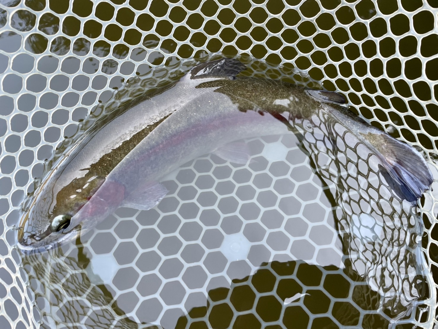 YjS0db60fX0MxCufHJOz9YFHGrg_KwsoUA7VU-nhOdX6B1xONT3HNi22R6nkr4kti-IGRx5J5eYEcqNLpVXc6iRf5PiaBlWyyw26jXuKyw4qfcWHhNrOK9IHmhnPrCya