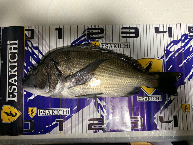 2月15日-速水康司様1