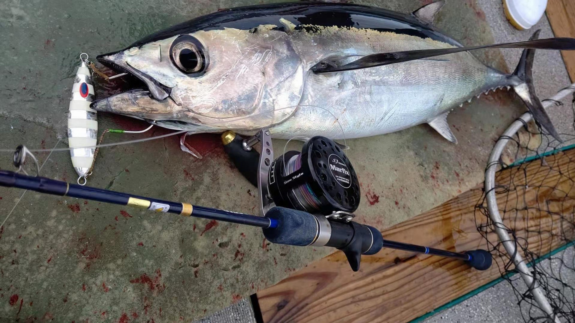 2月28日ﾄﾝﾎﾞwithタックル