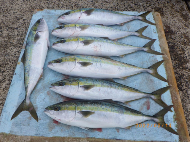 large-c80f2afbf1ff1034f20cbe7e29aeaca5