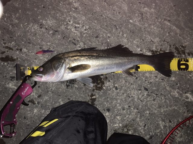 line_oa_chat_200408_125421