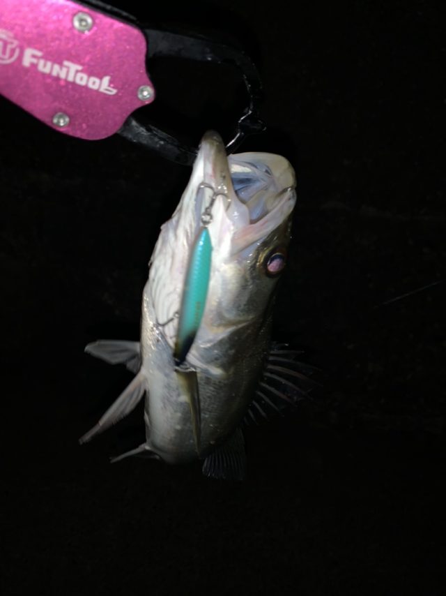 line_oa_chat_200408_125425