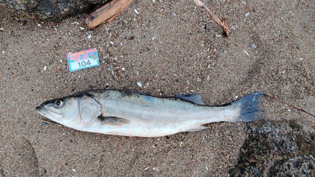 line_oa_chat_211203_124329