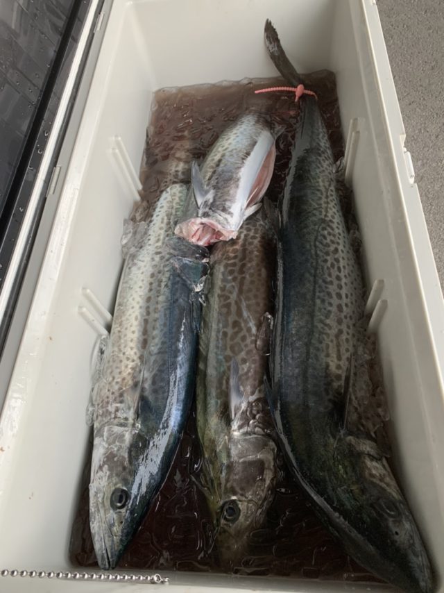 line_oa_chat_220215_173949