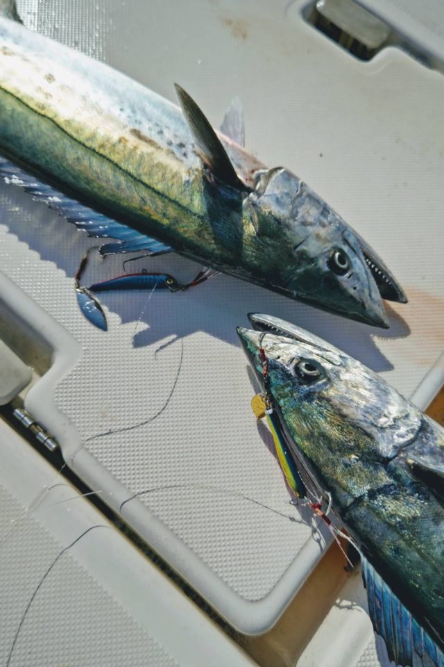 line_oa_chat_220215_174004