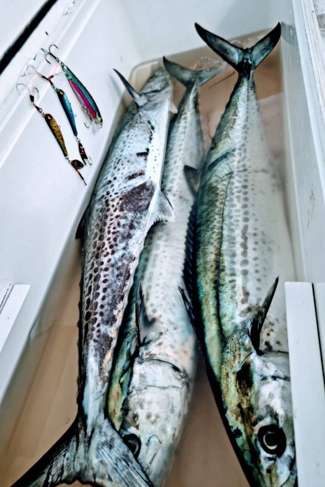 line_oa_chat_220215_174007