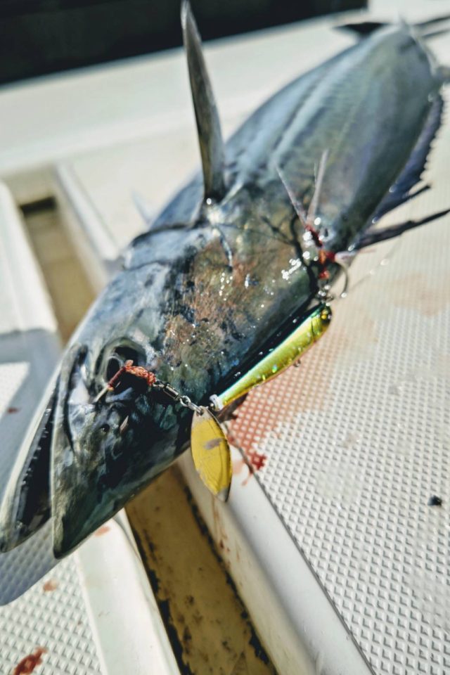 line_oa_chat_220215_174043