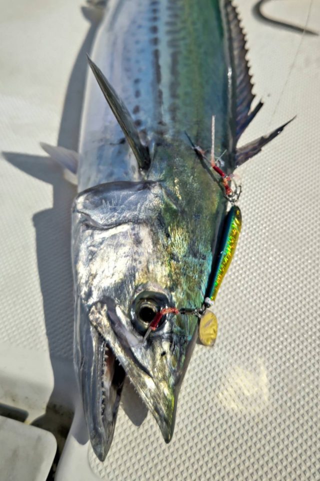 line_oa_chat_220215_174046