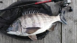 0715c233-c5dc-401b-af9c-08652bbd3146