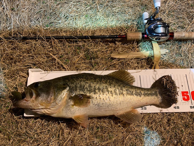 3月27日-サンジのパパ様