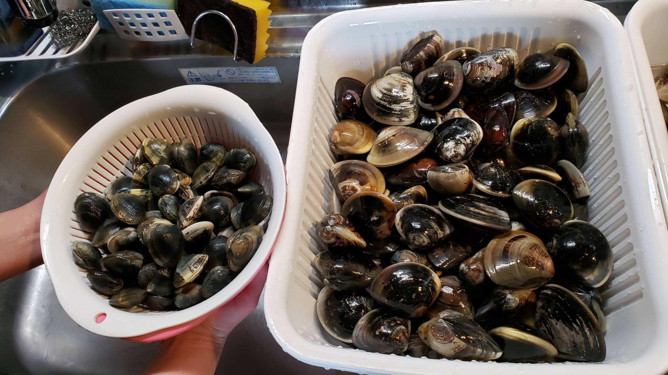 2rwzbcJBnQ4wy8qUMNCMyJ7VOETlHtqCY_KCWJSdR7Cvdah3S06x3tci1TI_Np8-prIkXKOV-9LuI0R18hu7nF5k3X6PqVvLGO_TmyjSSqDpnzWkuq5tKGWKhg2_C1mB