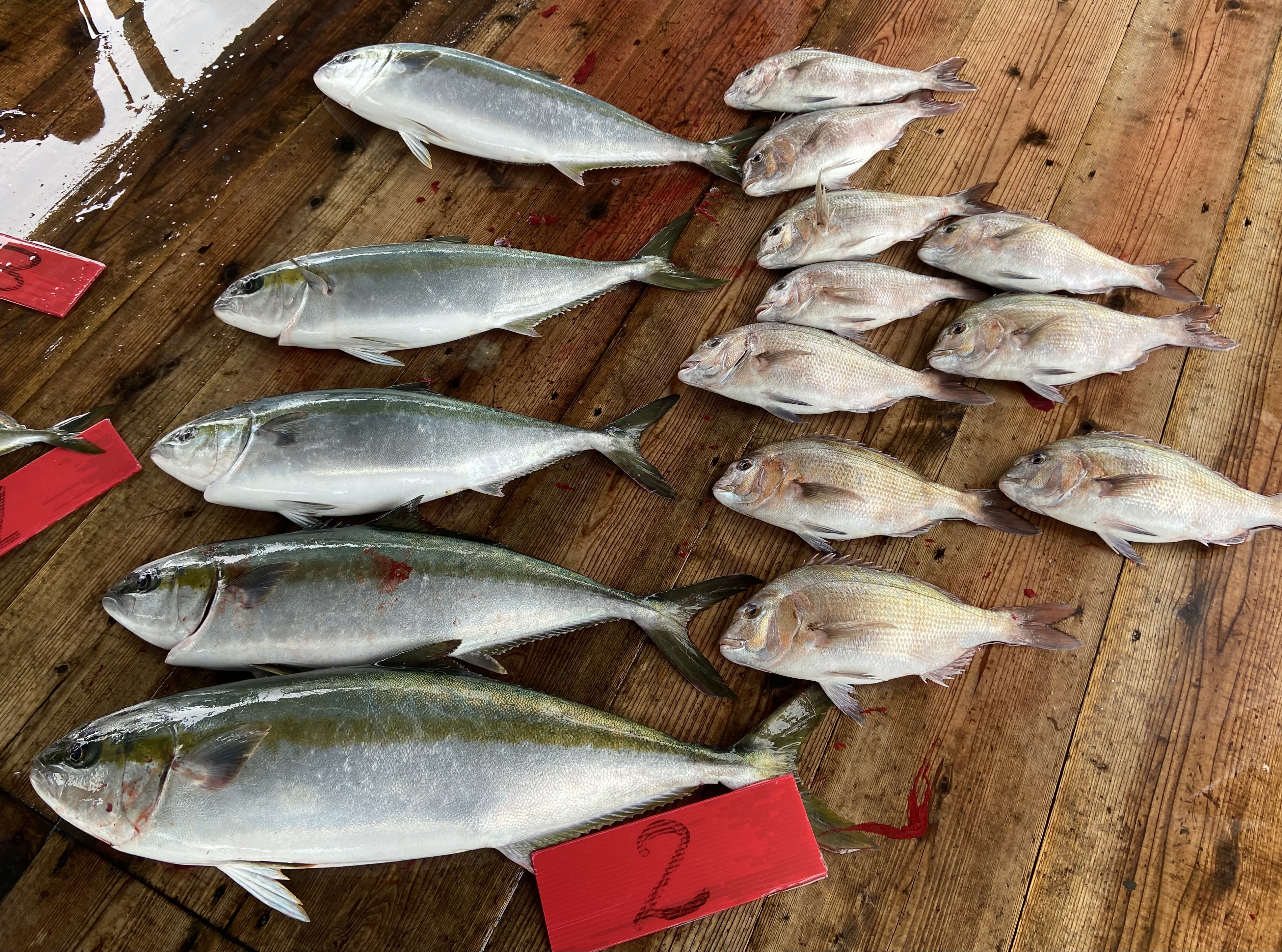 31D4952C-E1DB-483A-9D2E-06BA94E43B27