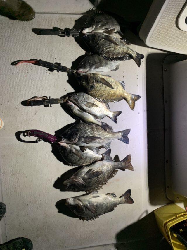 3D925309-68E8-4C02-B68D-C2A79C58860C