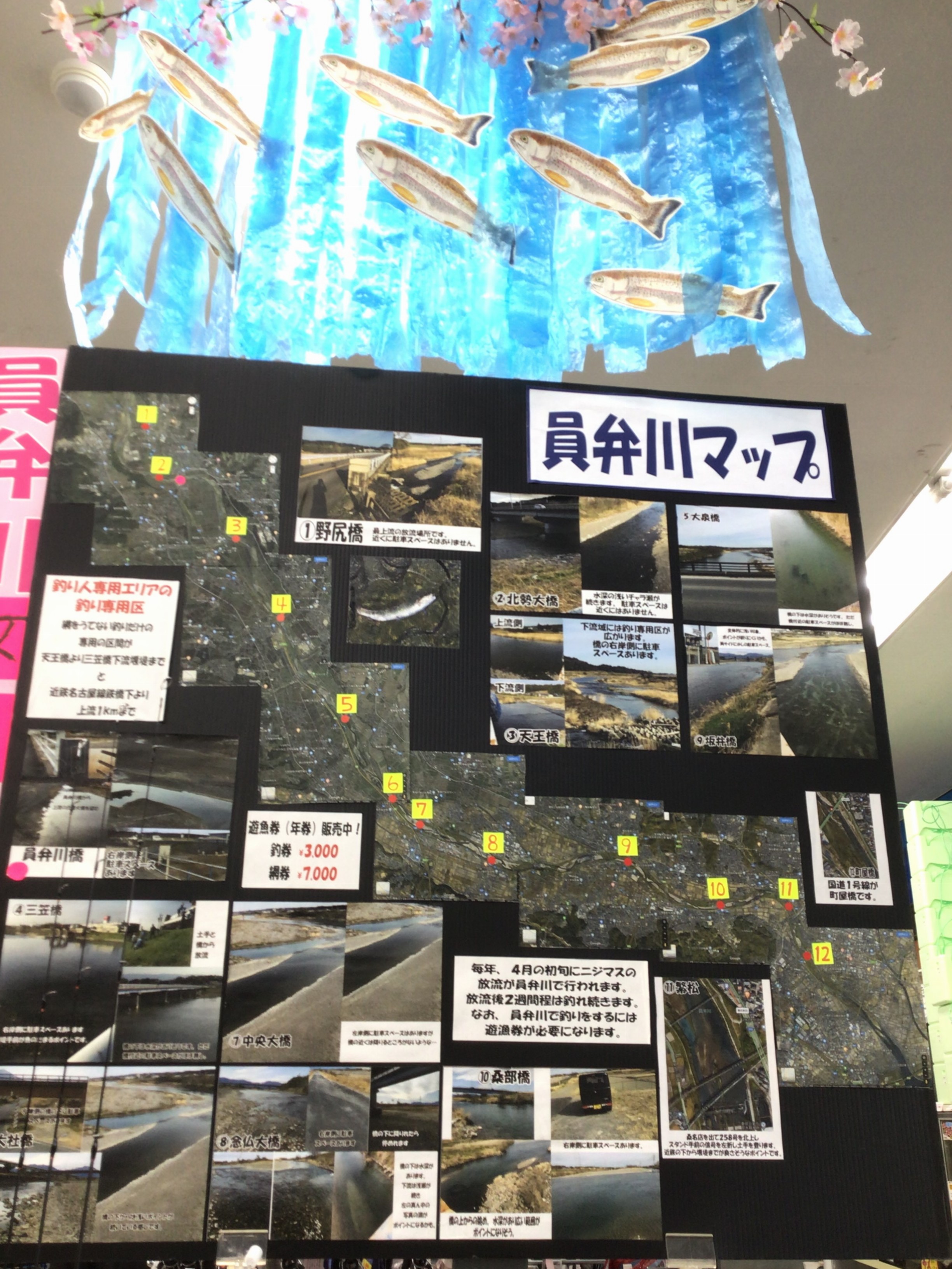 445F497B-CF72-4369-B854-94AB72B8AE64