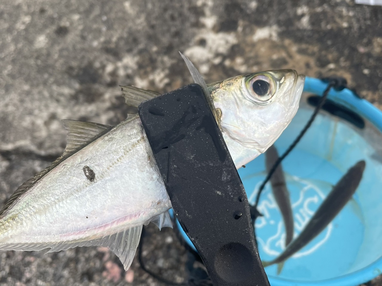 4CDEBD11-2936-4BD4-A216-9061DC8E22B2