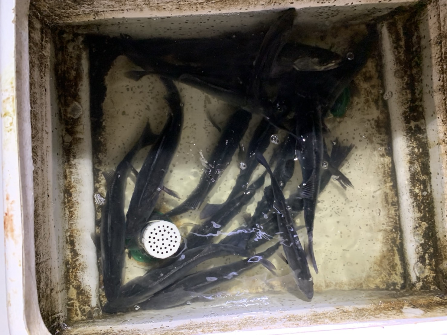 75WO4bQa7KvplKmCEKXEvuAuLoC8L2HgRLUfKBwik7oWV_GVUaiwgw8QbBN8xnVENcPRRlCp6KWKw9v_lnfHhCXmYFjURoCMv4r63-_zTzLOOVl65tYgD9PxhCdEbf9W