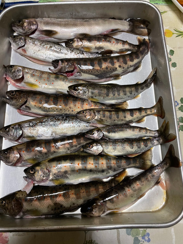 98c4b635-bc07-4c72-bcc4-9e6f995b030b