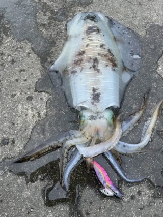 A6305785-DC06-422D-935B-8748E741F1E8