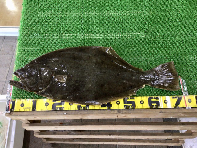 C6969F89-4637-4995-A36A-2DF830EDF363