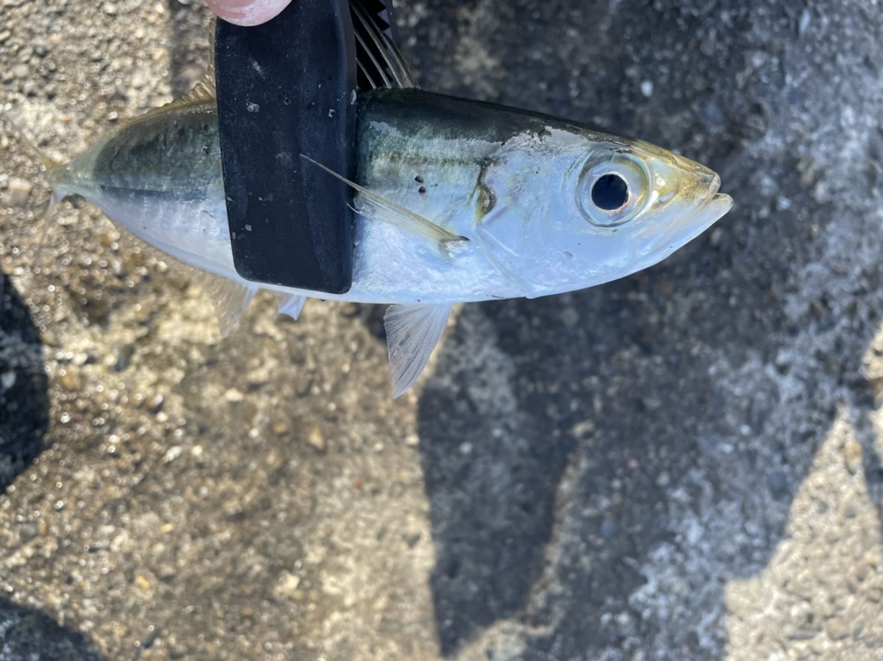 F47F861C-F000-483B-8122-4CC88E5F0AB1