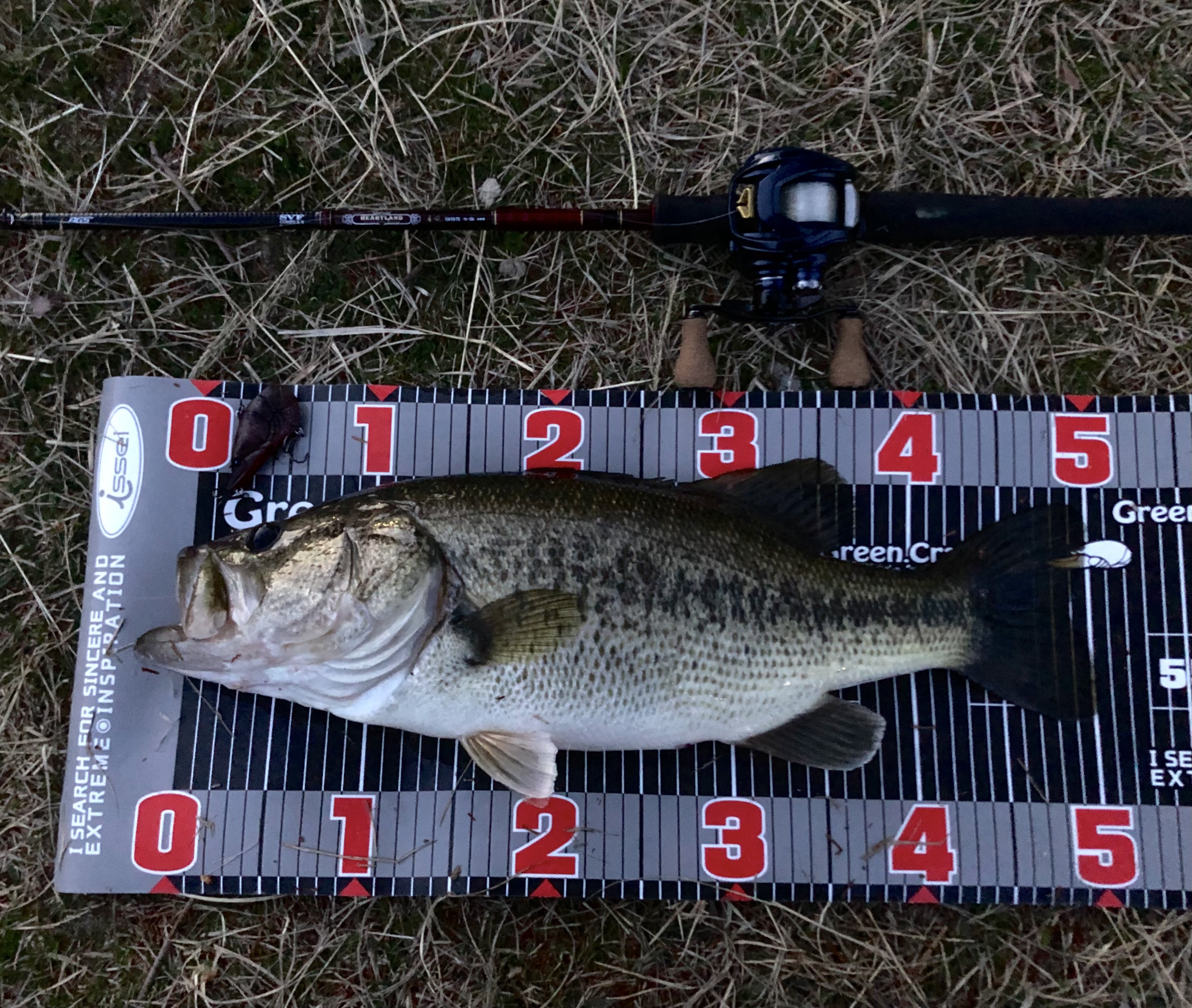 F553843F-E83B-4523-964F-F5466763438A