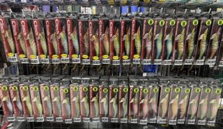 FAE9F809-EBF5-4DE5-923B-786A25E53665