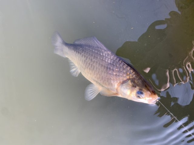 Fgb2HrezTcxIhgi1H0gJsFqBHEkwJs5XTPOaqV-Z7BzjDwUrKSICDQTxEYz6ECcELPNIwon_XV_Oz6fw1W2FmKGmpumFyvuCb7gTYkY3x1hqhiroelrg_yN_Yqgw4-fF