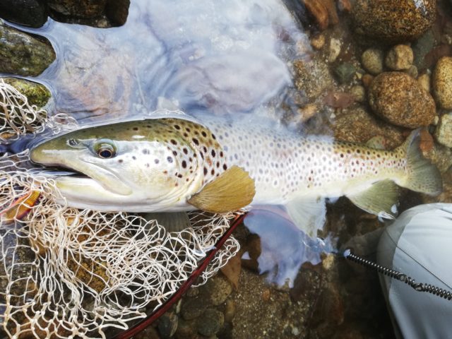 IMG_20210301_081918-e1614628750392