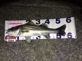 KQ9E0wAwfpwyDXxLOkM6lhRwoGBdhKa3VzNo8iF00et6drXK8L1hJ2h38p_0p-OSz9jgjyDyRkDNxS_MoY79RMPAzXPcEFxaaq4EkhmU6sEZPTQo7AoBF5iWAwHl7LNv