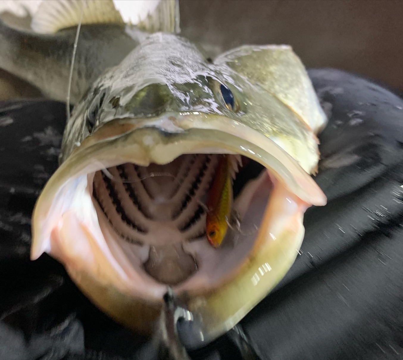 NaGhvje0PVLwg5ThwviELGrIBjxQFjFUo1X4gOFjdaDdLqVvxgWeZ9HDJ6DSB7YXlhChKV4O-vy1NOFzCALkhBC70RGZRcUEyEBXHm9f8CJk-BLa3G7LjEl1SzpHf5bH