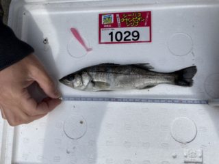 PWZtLuNOd0JFkbehIzP_5EhMh-9QOjSmMf5r27nbstOSVpq7Yvu0UHRAT8OwGkQsG1N0wATwd_05vfVloDiyckPuK_od3id8IAE5RfGsUj-M-WoumFXzZP8TMy4vSRWB