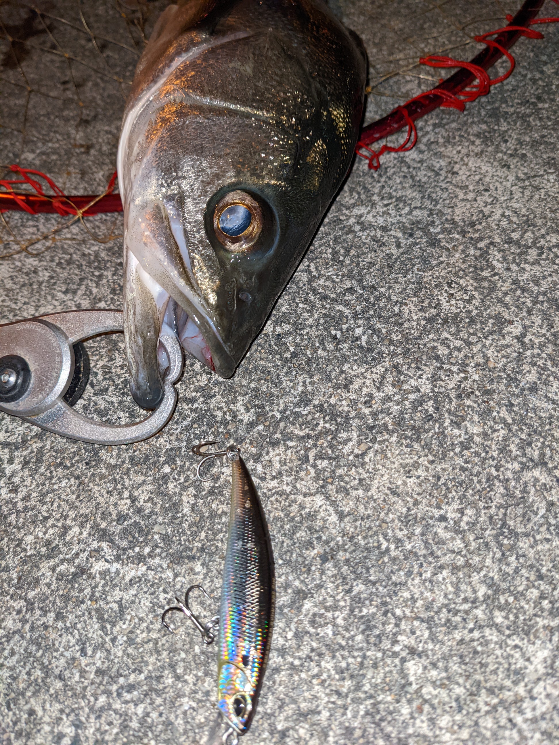 PXL_20220307_094330456